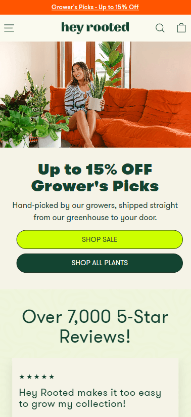 Hey Rooted preview
